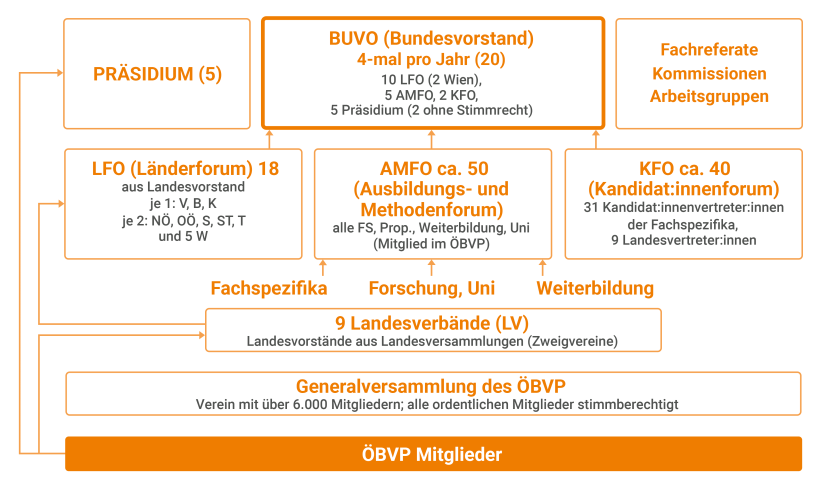 Grafische Darstellung der ÖVBP-Vereinsstruktur aus dem Jahr 2022 in de Farben orange und grau.