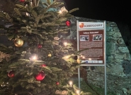 Geschmückter Weihnachtsbaum mit leuchtenden Lichtern vor einem Informationsschild zu Schloss Kobersdorf bei Nacht.